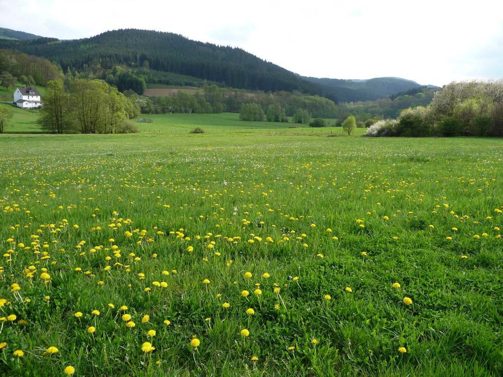 Landhaus Lenneper-Fuehrt Kirchhundem Esterno foto